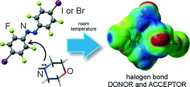 Graphical abstract: Fluorinated azobenzenes with highly strained geometries for halogen bond-driven self-assembly in the solid state