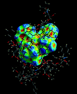 Graphical abstract: Towards understanding P-gp resistance: a case study of the antitumour drug cabazitaxel