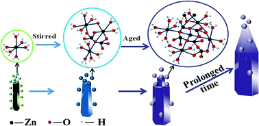 Graphical abstract: Dynamically controlled synthesis of different ZnO nanostructures by a surfactant-free hydrothermal method