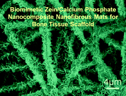 Graphical abstract: Biomimetic mineralization of zein/calcium phosphate nanocomposite nanofibrous mats for bone tissue scaffolds