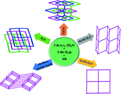 Graphical abstract: Five solvent-induced cadmium coordination polymers (CPs) based on the same mixed ligands