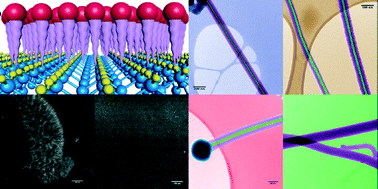 Graphical abstract: Tuning the radial structure of core–shell silicon carbide nanowires