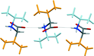 Graphical abstract: Hydrogen bond architecture in crystal structures of N-alkylated hydrophobic amino acids