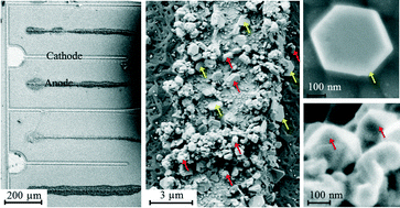 Graphical abstract: Selective deposition of nanocrystalline carbon films on GaN diodes in photocatalytic reactions