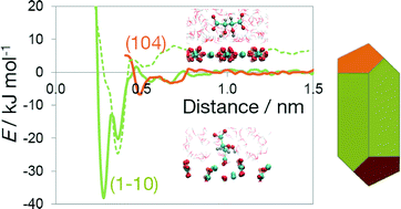 Graphical abstract: Simulating preferential sorption of tartrate on prismatic calcite surfaces