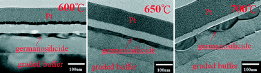 Graphical abstract: A novel silicide and germanosilicide by NiCo alloy for Si and SiGe source/drain contact with improved thermal stability