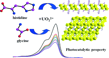 Graphical abstract: UO22+-amino hybrid materials: structural variation and photocatalysis properties