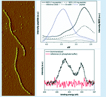 Graphical abstract: Generation of luminescence in biomineralized zirconia by zirconia-binding peptides