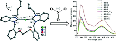 Graphical abstract: Structures of NHC Hg(ii) and Ag(i) complexes and selective recognition of nitrate anion