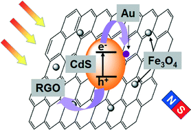 Graphical abstract: Multi-functional Au/CdS/Fe3O4/RGO hybrid nanomaterials with enhanced photocatalytic activity