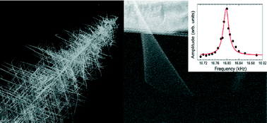 Graphical abstract: Growth, structure, luminescence and mechanical resonance of Bi2O3 nano- and microwires