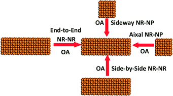 Graphical abstract: Oriented-attachment dimensionality build-up via van der Waals interaction