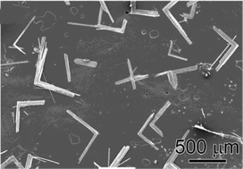 Graphical abstract: NaV2O5 crystals of a right-angle-shaped nanostructure assembly