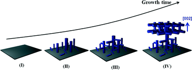 Graphical abstract: Complex three-dimensional tungsten oxide nanowire networks: controllable synthesis and growth mechanism