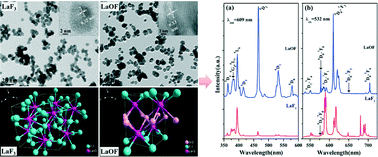 Graphical abstract: The effects of structural characterization on the luminescence of Eu3+-doped fluoride nano/microcrystals