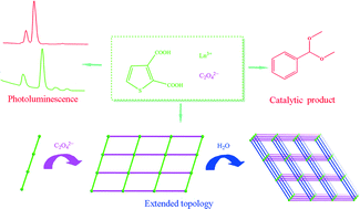 Graphical abstract: Hydrogen bonded-extended lanthanide coordination polymers decorated with 2,3-thiophenedicarboxylate and oxalate: synthesis, structures, and properties