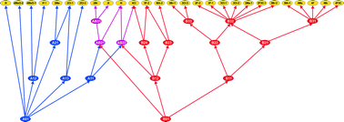 Graphical abstract: Relationships between the racemic structures of substituted mandelic acids containing 8- and 10-membered hydrogen bonded dimer rings