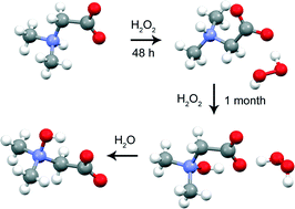 Graphical abstract: Oxidative stress of H2O2 on N,N-dimethylglycine: formation of perhydrate crystals and more