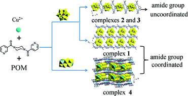 Graphical abstract: Effect of polyoxoanions and amide group coordination modes on the assembly of polyoxometalate-based metal–organic complexes constructed from a semi-rigid bis-pyridyl-bis-amide ligand