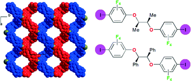 Graphical abstract: Halogen-bonded halide networks from chiral neutral spacers