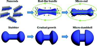 Graphical abstract: Structural, luminescence and magnetic properties of Yb3+-Er3+ codoped Gd2O3 hierarchical architectures