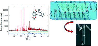 Graphical abstract: Structural characterization of LASSBio-1289: a new vasoactive N-methyl-N-acylhydrazone derivative