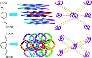 Graphical abstract: Chiral or achiral: four isomeric Cd(ii) coordination polymers based on phenylenediacrylate ligands