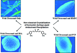 Graphical abstract: Particle formation pathways and polymorphism of curcumin induced by ultrasound and additives during liquid antisolvent precipitation