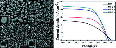 Graphical abstract: Facile conversion of rutile titanium dioxide nanowires to nanotubes for enhancing the performance of dye-sensitized solar cells