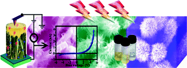 Graphical abstract: Low temperature solution processed ZnO/CuO heterojunction photocatalyst for visible light induced photo-degradation of organic pollutants