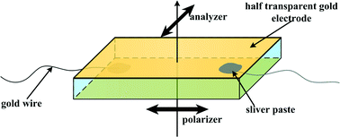 Graphical abstract: Direct observation of monoclinic ferroelectric phase and domain switching process in (K0.25Na0.75)NbO3 single crystals