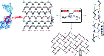 Graphical abstract: Architectures varying from discrete molecular units to 2-dimensional coordination polymers and photoluminescence behavior of zinc and cadmium comprising an anionic zwitterion of rigid 4,5-dicarboxy-1,3-dimethyl-1H-imidazolium iodide