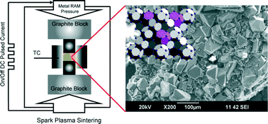 Graphical abstract: Rapid crystal growth of type-II clathrates A8Na16Si136 (A = K, Rb, Cs) by spark plasma sintering