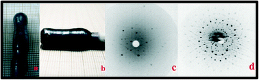 Graphical abstract: Optical and spectroscopic studies of Ca0.9Nd0.1Ti0.9Al0.1O3 single crystals grown by an optical floating zone technique