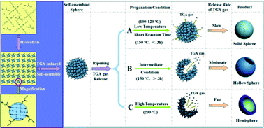 Graphical abstract: Template-free synthesis of mesoporous anatase titania hollow spheres and their enhanced photocatalysis