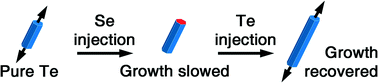 Graphical abstract: The effect of Se doping on the growth of Te nanorods