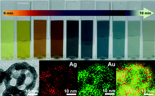 Graphical abstract: Water-soluble Au nanocages for enzyme-free H2O2 sensor and 4-nitrophenol reduction