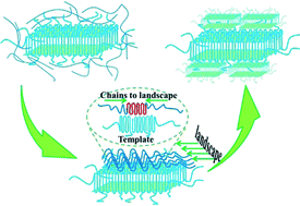 Graphical abstract: High-melting-point crystals of poly(l-lactic acid) (PLLA): the most efficient nucleating agent to enhance the crystallization of PLLA