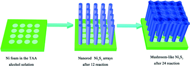Graphical abstract: The growth and assembly of the multidimensional hierarchical Ni3S2 for aqueous asymmetric supercapacitors
