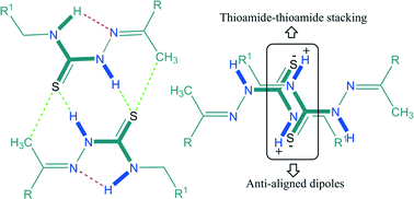 Graphical abstract: Robustness of thioamide dimer synthon, carbon bonding and thioamide–thioamide stacking in ferrocene-based thiosemicarbazones