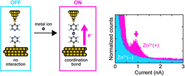 Graphical abstract: Electron transfer through coordination bond interaction between single molecules: conductance switching by a metal ion