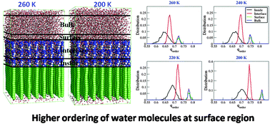Graphical abstract: Model atomistic protrusions favouring the ordering and retention of water