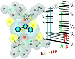 Graphical abstract: In-depth exploration of the photophysics of a trinuclear palladium complex