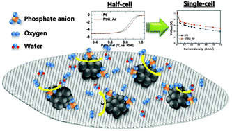 Graphical abstract: Tuning the oxygen reduction activity of the Pt–Ni nanoparticles upon specific anion adsorption by varying heat treatment atmospheres