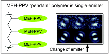 Graphical abstract: Energy transfer in PPV-based conjugated polymers: a defocused widefield fluorescence microscopy study
