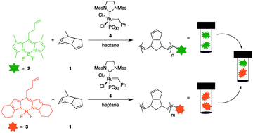 Graphical abstract: Location change method for imaging chemical reactivity and catalysis with single-molecule and -particle fluorescence microscopy