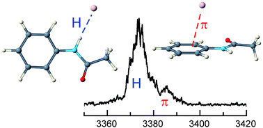 Graphical abstract: Microsolvation of the acetanilide cation (AA+) in a nonpolar solvent: IR spectra of AA+–Ln clusters (L = He, Ar, N2; n ≤ 10)