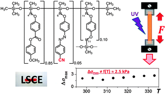 Graphical abstract: Photoactuation and thermal isomerisation mechanism of cyanoazobenzene-based liquid crystal elastomers