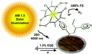 Graphical abstract: Energetics and efficiency analysis of a cobaloxime-modified semiconductor under simulated air mass 1.5 illumination