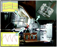 Graphical abstract: Electrochemistry of orthosilicate-based lithium battery cathodes: a perspective